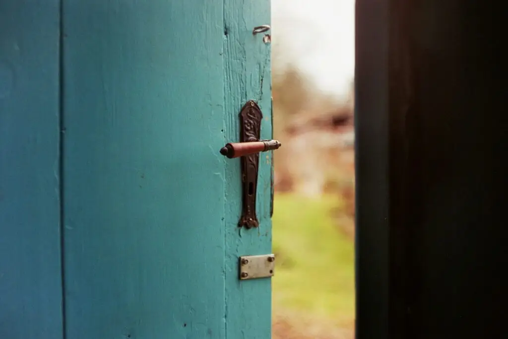 a green wooden door, slightly opened, leading to a green meadow