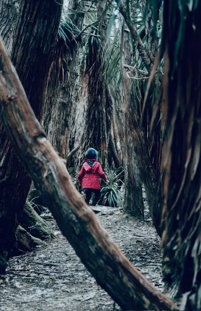 A small child in a red coat walking alone into a dense dark forest, seen from behind, the trees closing in on either side, the path narrowing ahead, symbolising the journey inward toward the hidden wound and the inner child waiting to be found.